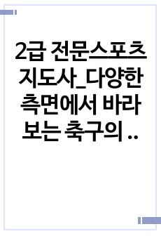 2급 전문스포츠지도사_다양한 측면에서 바라보는 축구의 효과적인 관리 방안