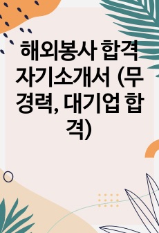 해외봉사 합격 자기소개서 (무경력, 대기업 합격)