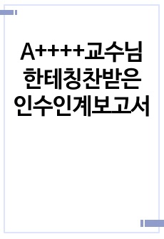 A++++교수님한테칭찬받은 인수인계보고서