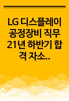 LG 디스플레이 공정장비 직무 21년 하반기 합격 자소서