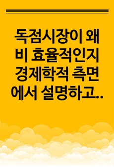 독점시장이 왜 비 효율적인지 경제학적 측면에서 설명하고 이를 개선할 방안이 있다면 무엇인지 설명하시오.