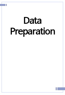 Data Preparation