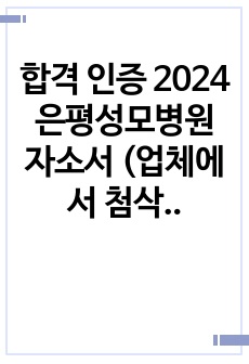 합격 인증 2024 은평성모병원 자소서 (업체에서 첨삭 받은 자기소개서)