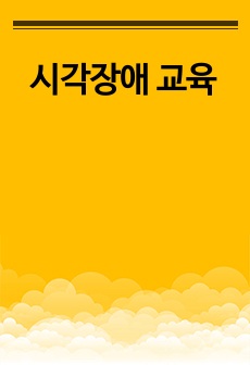 시각장애 교육