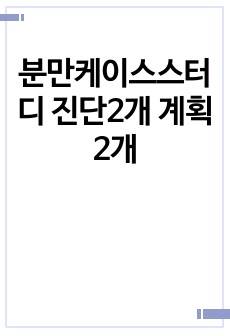 분만케이스스터디 진단2개 계획 2개