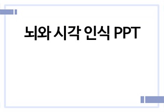 뇌와 시각 인식 PPT