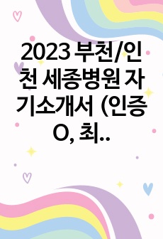 2023 부천/인천 세종병원 자기소개서 (인증 O, 최초합, 재직자)