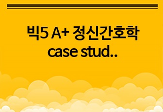 빅5 A+ 정신간호학 case study 간호과정 조현병 5p. 간호과정 1개, 간호중재 12개