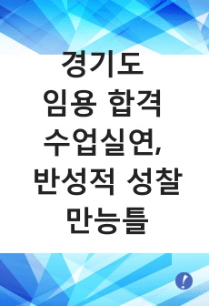 경기도 임용 합격 수업실연, 반성적 성찰 만능틀