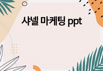 샤넬 마케팅 ppt