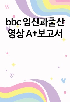 bbc 임신과출산 영상 A+보고서