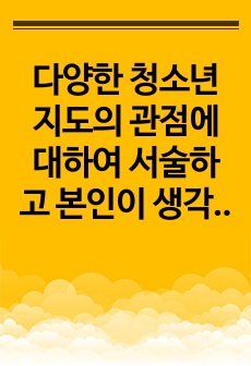 다양한 청소년지도의 관점에 대하여 서술하고 본인이 생각하는 바람직한 청소년지도의 관점은 무엇인지 논하시오