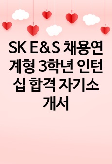 SK E&S  채용연계형 3학년 인턴십 합격 자기소개서
