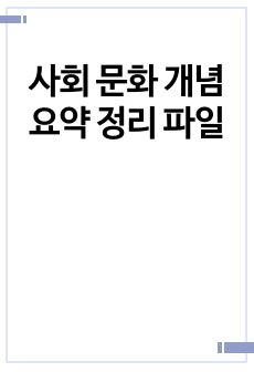 사회 문화 개념 요약 정리 파일