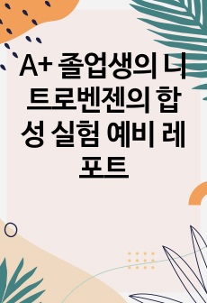 A+ 졸업생의 니트로벤젠의 합성 실험 예비 레포트