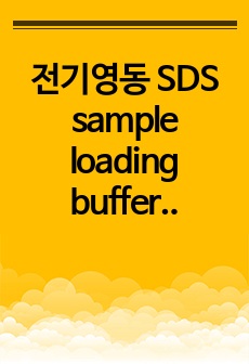 전기영동 SDS sample loading buffer를 사용하는 이유, running gel에서 단백질 분리가 일어나는 원리