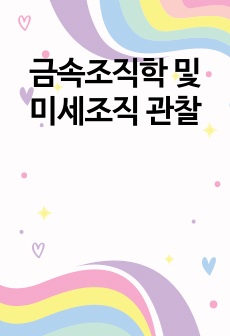 금속조직학 및 미세조직 관찰