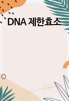 DNA 제한효소