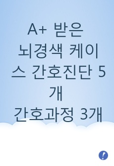 A+ 받은 뇌경색 케이스 간호진단 5개 간호과정 3개