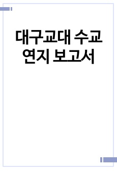 대구교대 수교연지 보고서