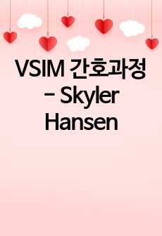 VSIM 간호과정 - Skyler Hansen