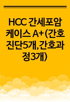 HCC 간세포암 케이스 A+(간호진단5개,간호과정3개)
