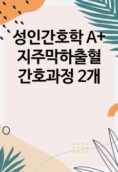 성인간호학 A+ 지주막하출혈 간호과정 2개