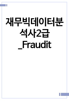 재무빅데이터분석사2급_Fraudit