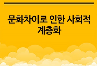 문화차이로 인한 사회적 계층화