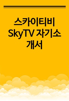 스카이티비 SkyTV 자기소개서
