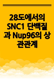 28도에서의 SNC1 단백질과 Nup96의 상관관계