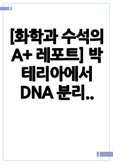 [화학과 수석의 A+ 레포트][조교피드백 포함] 박테리아에서 DNA 분리 (생화학 실험)