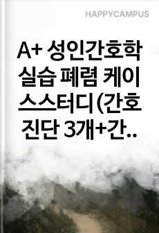 A+ 성인간호학실습 폐렴 케이스스터디(간호진단 3개+간호중재 1개)